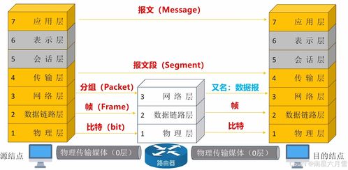 王道考研筆記整理 計算機網(wǎng)絡(luò)體系結(jié)構(gòu)與信息管理服務(wù)