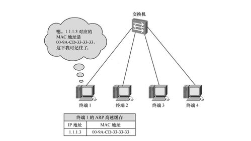 IPv4編址與子網劃分 通信建立、驗證及ICMP協議解析