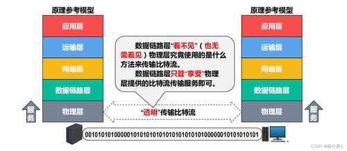 計算機網絡之物理層 信息管理與服務的基礎基石