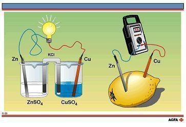 化學講堂 電化學裝置中的離子流向——以干電池為例